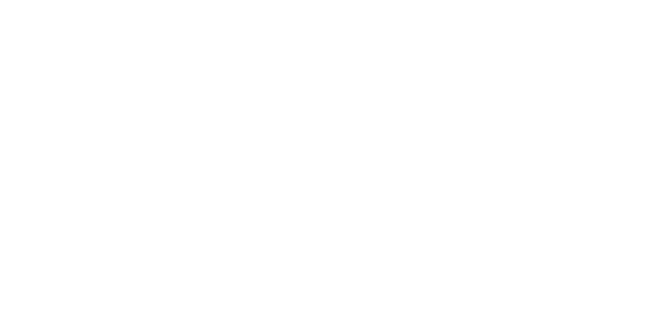 Bruto logo